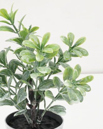 Artificial Plant 7*17CM GRASS IN PE POT GS-05521075 Potted Flowers&Plants YeahFlower is one of Chinese leading OEM manufacturers and exporters , supplying the silk flowers, wholesale artificial trees