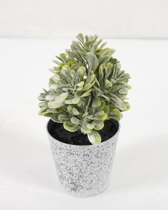 Artificial Plant 8*13CM GRASS IN PE POT GS-05521076 Potted Flowers&Plants YeahFlower is one of Chinese leading OEM manufacturers and exporters , supplying the silk flowers, wholesale artificial trees