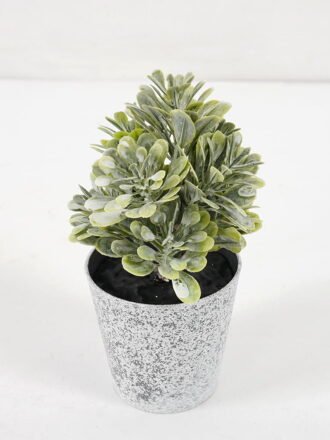 Artificial Plant 7*17CM GRASS IN PE POT GS-05521075 Potted Flowers&Plants 3,000+ sqm showroom with thousands of artificial flowers, plants & trees ready for global sourcing.