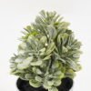 Artificial Plant 8*13CM GRASS IN PE POT GS-05521076 Potted Flowers&Plants YeahFlower is one of Chinese leading OEM manufacturers and exporters , supplying the silk flowers, wholesale artificial trees