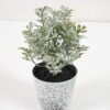 Artificial Plant GRASS IN PE POT GS-05521077_1 Artificial Plant 8*13CM GRASS IN PE POT GS-05521077 Potted Flowers&Plants YeahFlower is one of Chinese leading OEM manufacturers and exporters , supplying the silk flowers, wholesale artificial trees