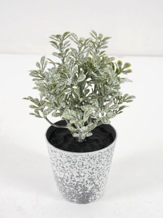 Artificial Plant 8*13CM GRASS IN PE POT GS-05521076 Potted Flowers&Plants 3,000+ sqm showroom with thousands of artificial flowers, plants & trees ready for global sourcing.