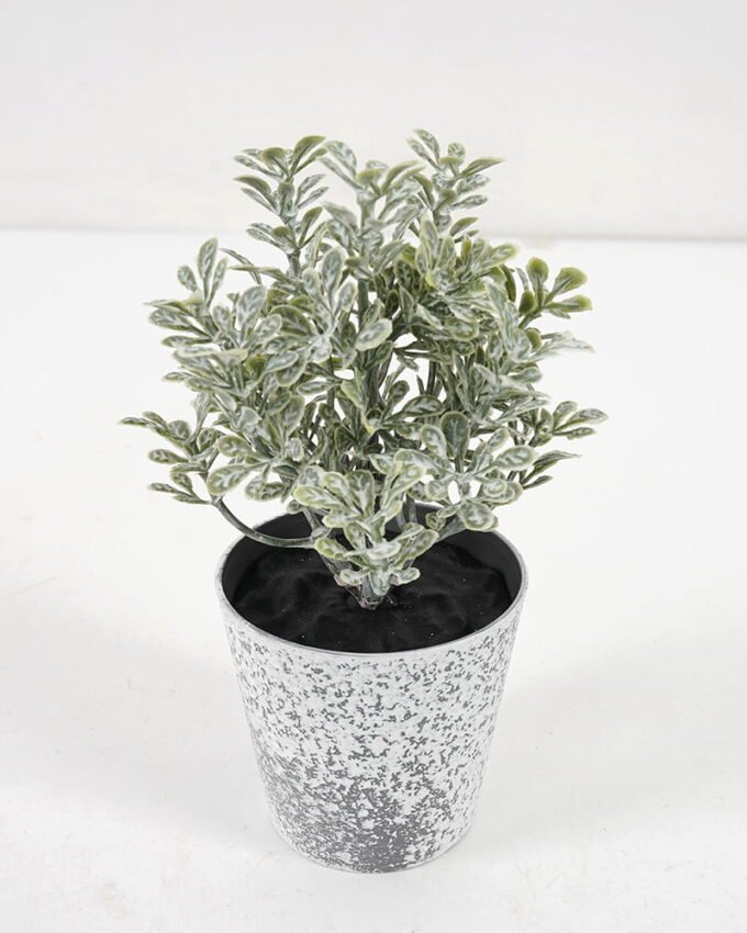 Artificial Plant GRASS IN PE POT GS-05521077_1 Artificial Plant 8*13CM GRASS IN PE POT GS-05521077 Potted Flowers&Plants YeahFlower is one of Chinese leading OEM manufacturers and exporters , supplying the silk flowers, wholesale artificial trees
