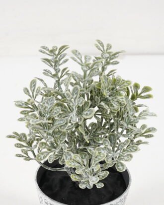 Artificial Plant 8*13CM GRASS IN PE POT GS-05521077 Potted Flowers&Plants YeahFlower is one of Chinese leading OEM manufacturers and exporters , supplying the silk flowers, wholesale artificial trees