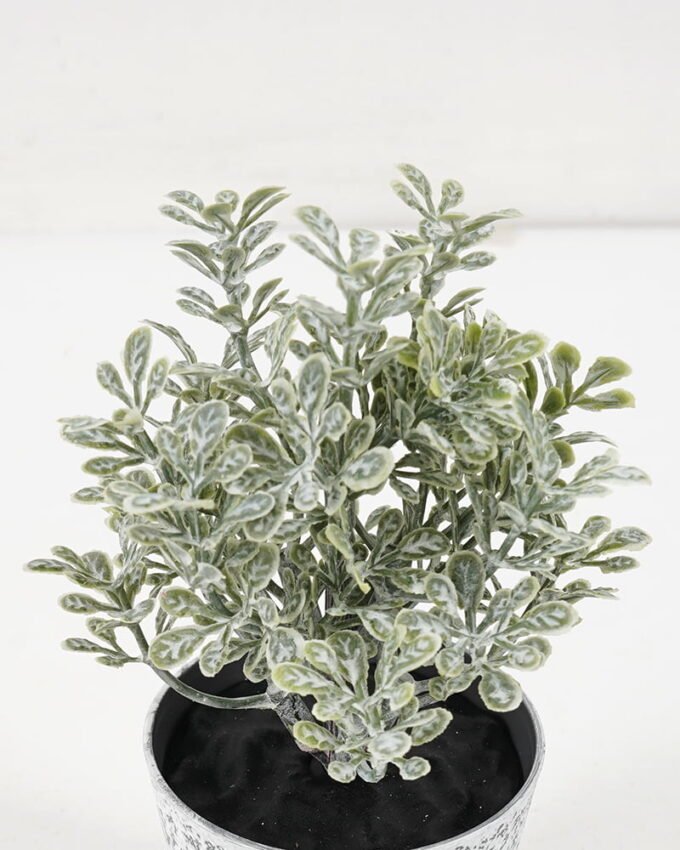 Artificial Plant GRASS IN PE POT GS-05521077_5 Artificial Plant 8*13CM GRASS IN PE POT GS-05521077 Potted Flowers&Plants YeahFlower is one of Chinese leading OEM manufacturers and exporters , supplying the silk flowers, wholesale artificial trees