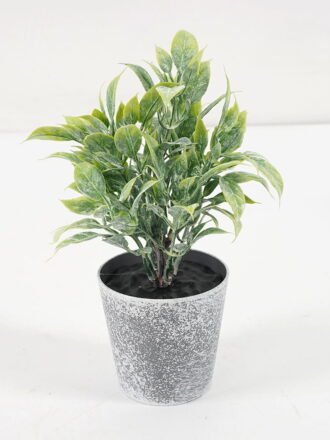 Artificial Plant 8*13CM GRASS IN PE POT GS-05521077 Potted Flowers&Plants 3,000+ sqm showroom with thousands of artificial flowers, plants & trees ready for global sourcing.