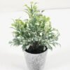 Artificial Plant 8*16CM GRASS IN PE POT GS-05521081 Potted Flowers&Plants YeahFlower is one of Chinese leading OEM manufacturers and exporters , supplying the silk flowers, wholesale artificial trees