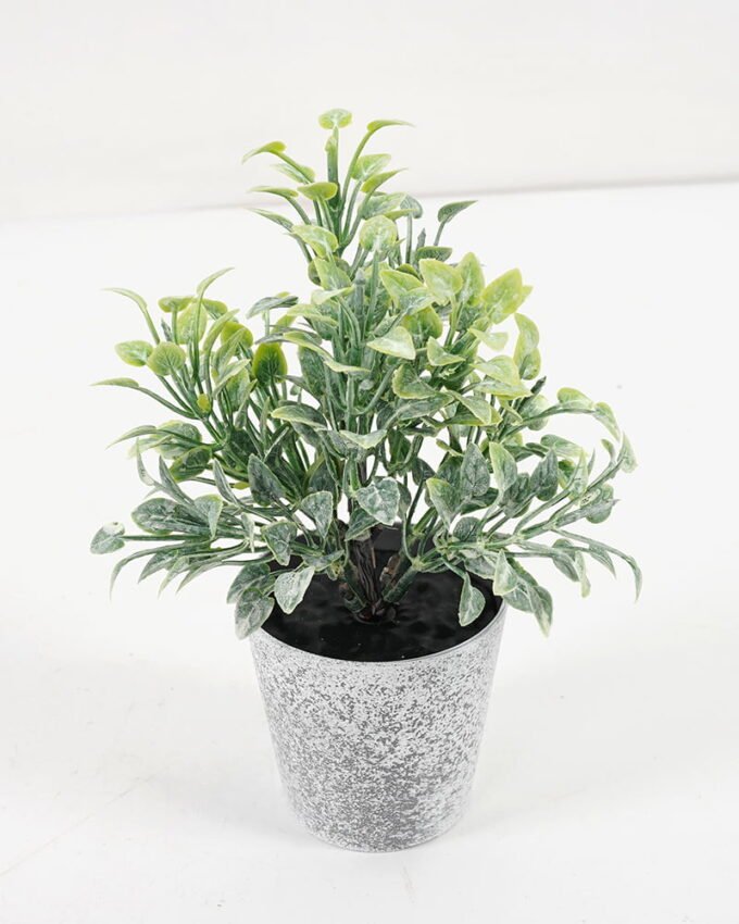 Artificial Plant 8*16CM GRASS IN PE POT GS-05521081 Potted Flowers&Plants YeahFlower is one of Chinese leading OEM manufacturers and exporters , supplying the silk flowers, wholesale artificial trees