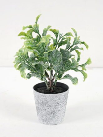 Artificial Plant 8*16CM GRASS IN PE POT GS-05521081 Potted Flowers&Plants 3,000+ sqm showroom with thousands of artificial flowers, plants & trees ready for global sourcing.