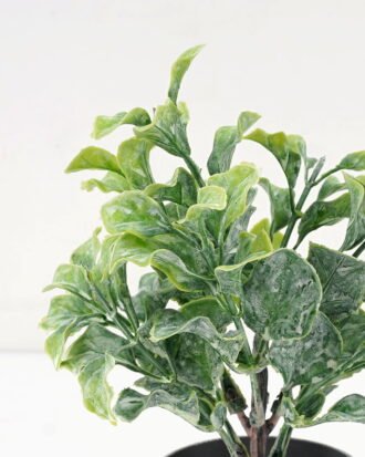 Artificial Plant 10*17CM GRASS IN PE POT GS-05521082 Potted Flowers&Plants YeahFlower is one of Chinese leading OEM manufacturers and exporters , supplying the silk flowers, wholesale artificial trees