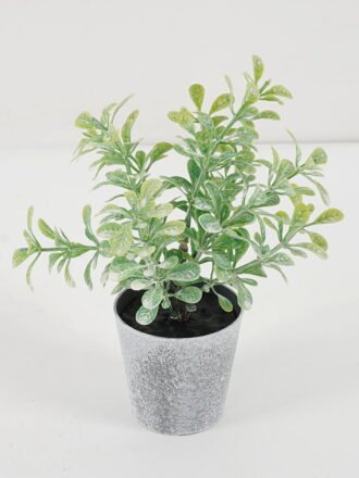 Artificial Plant 10*17CM GRASS IN PE POT GS-05521082 Potted Flowers&Plants 3,000+ sqm showroom with thousands of artificial flowers, plants & trees ready for global sourcing.