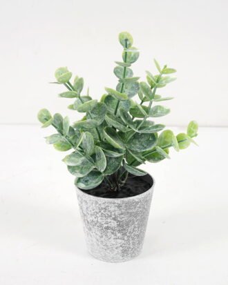 Artificial Plant 9*16CM GRASS IN PE POT GS-05521085 Potted Flowers&Plants YeahFlower is one of Chinese leading OEM manufacturers and exporters , supplying the silk flowers, wholesale artificial trees Artificial Plant 9*16CM GRASS IN PE POT GS-05521085 Potted Flowers&Plants YeahFlower is one of Chinese leading OEM manufacturers and exporters , supplying the silk flowers, wholesale artificial trees