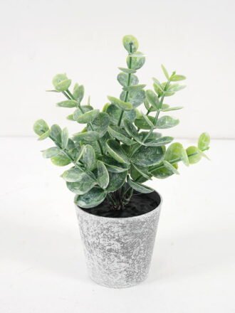 Artificial Plant 10*17CM GRASS IN PE POT GS-05521084 Potted Flowers&Plants 3,000+ sqm showroom with thousands of artificial flowers, plants & trees ready for global sourcing.