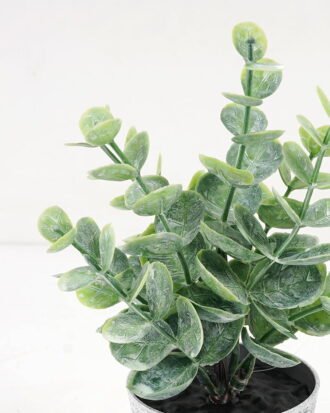 Artificial Plant 9*16CM GRASS IN PE POT GS-05521085 Potted Flowers&Plants YeahFlower is one of Chinese leading OEM manufacturers and exporters , supplying the silk flowers, wholesale artificial trees Artificial Plant 9*16CM GRASS IN PE POT GS-05521085 Potted Flowers&Plants YeahFlower is one of Chinese leading OEM manufacturers and exporters , supplying the silk flowers, wholesale artificial trees