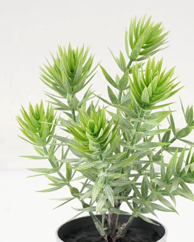 Artificial Plant 9*16CM GRASS IN PE POT GS-05521086 Potted Flowers&Plants YeahFlower is one of Chinese leading OEM manufacturers and exporters , supplying the silk flowers, wholesale artificial trees