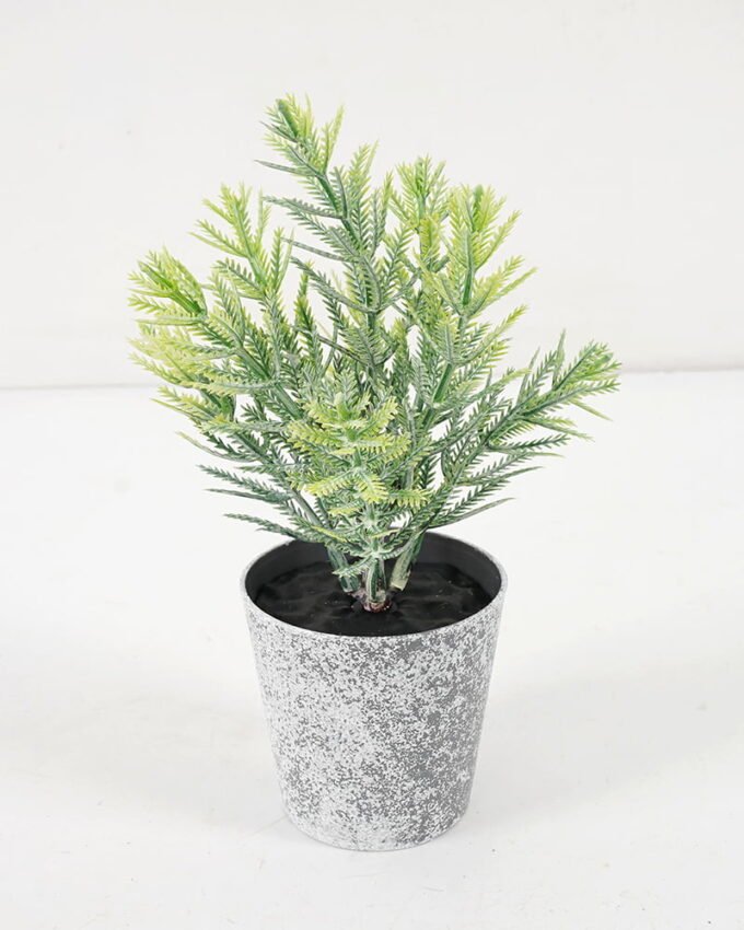Artificial Plant 8*16CM GRASS IN PE POT GS-05521088 Potted Flowers&Plants YeahFlower is one of Chinese leading OEM manufacturers and exporters , supplying the silk flowers, wholesale artificial trees