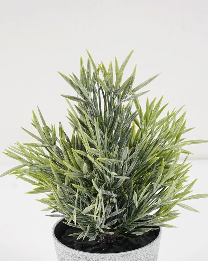 Artificial Plant 8*16CM GRASS IN PE POT GS-05521090 Potted Flowers&Plants YeahFlower is one of Chinese leading OEM manufacturers and exporters , supplying the silk flowers, wholesale artificial trees