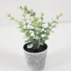 Artificial Plant 8*17CM GRASS IN PE POT GS-05521091 Potted Flowers&Plants YeahFlower is one of Chinese leading OEM manufacturers and exporters , supplying the silk flowers, wholesale artificial trees