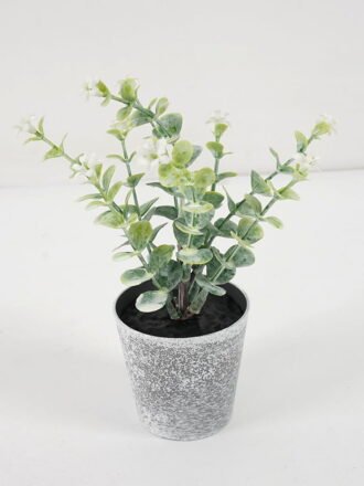 Artificial Plant 8*16CM GRASS IN PE POT GS-05521090 Potted Flowers&Plants 3,000+ sqm showroom with thousands of artificial flowers, plants & trees ready for global sourcing.