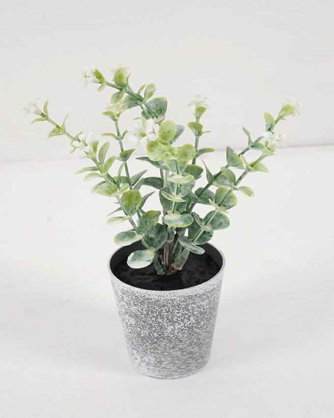 Artificial Plant 8*17CM GRASS IN PE POT GS-05521091 Potted Flowers&Plants YeahFlower is one of Chinese leading OEM manufacturers and exporters , supplying the silk flowers, wholesale artificial trees