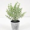 Artificial Plant 10*17CM GRASS IN PE POT GS-05521094 Potted Flowers&Plants YeahFlower is one of Chinese leading OEM manufacturers and exporters , supplying the silk flowers, wholesale artificial trees
