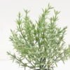 Artificial Plant 10*17CM GRASS IN PE POT GS-05521094 Potted Flowers&Plants YeahFlower is one of Chinese leading OEM manufacturers and exporters , supplying the silk flowers, wholesale artificial trees