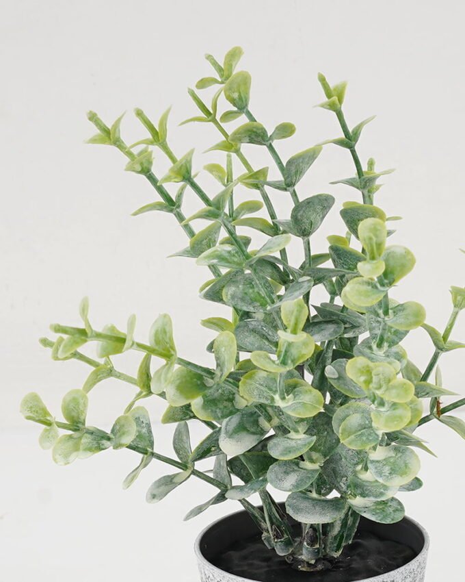 Artificial Plant 10*17CM GRASS IN PE POT GS-05521095 Potted Flowers&Plants YeahFlower is one of Chinese leading OEM manufacturers and exporters , supplying the silk flowers, wholesale artificial trees