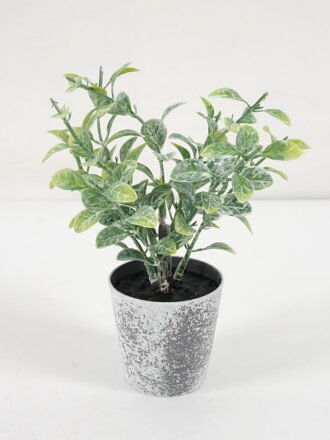 Artificial Plant 8*14CM GRASS IN PE POT GS-05521097 Potted Flowers&Plants 3,000+ sqm showroom with thousands of artificial flowers, plants & trees ready for global sourcing.