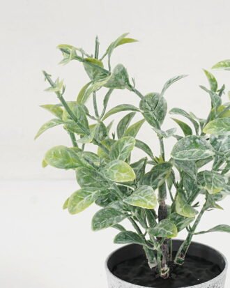 Artificial Plant 10*17CM GRASS IN PE POT GS-05521096 Potted Flowers&Plants YeahFlower is one of Chinese leading OEM manufacturers and exporters , supplying the silk flowers, wholesale artificial trees