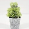 Artificial Plant 8*14CM GRASS IN PE POT GS-05521098 Potted Flowers&Plants YeahFlower is one of Chinese leading OEM manufacturers and exporters , supplying the silk flowers, wholesale artificial trees