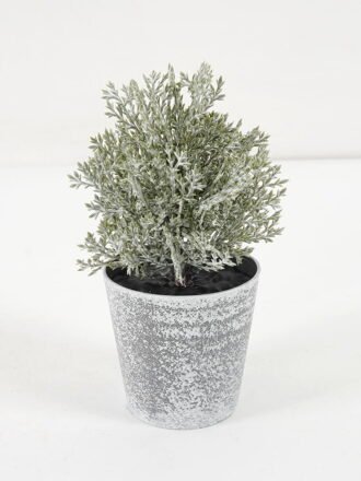 Artificial Plant 8*16CM GRASS IN PE POT GS-05521103 Potted Flowers&Plants 3,000+ sqm showroom with thousands of artificial flowers, plants & trees ready for global sourcing.