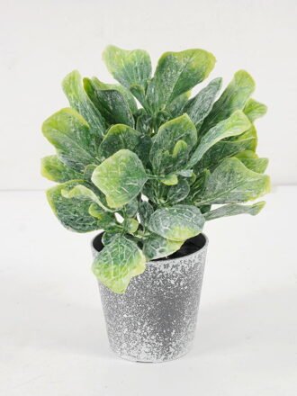 Artificial Flower 8*16CM GRASS IN PE POT GS-05521104 Potted Flowers&Plants 3,000+ sqm showroom with thousands of artificial flowers, plants & trees ready for global sourcing.