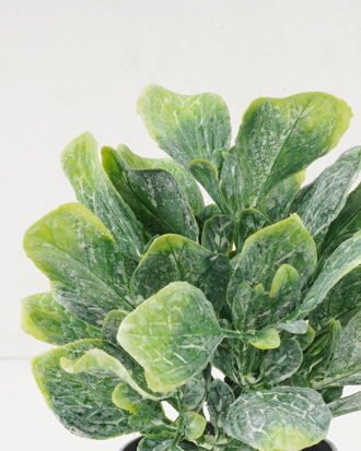 Artificial Plant 8*16CM GRASS IN PE POT GS-05521103 Potted Flowers&Plants YeahFlower is one of Chinese leading OEM manufacturers and exporters , supplying the silk flowers, wholesale artificial trees