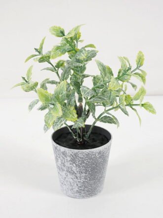Artificial Flower 9*15CM GRASS IN PE POT GS-05521107 Potted Flowers&Plants 3,000+ sqm showroom with thousands of artificial flowers, plants & trees ready for global sourcing.
