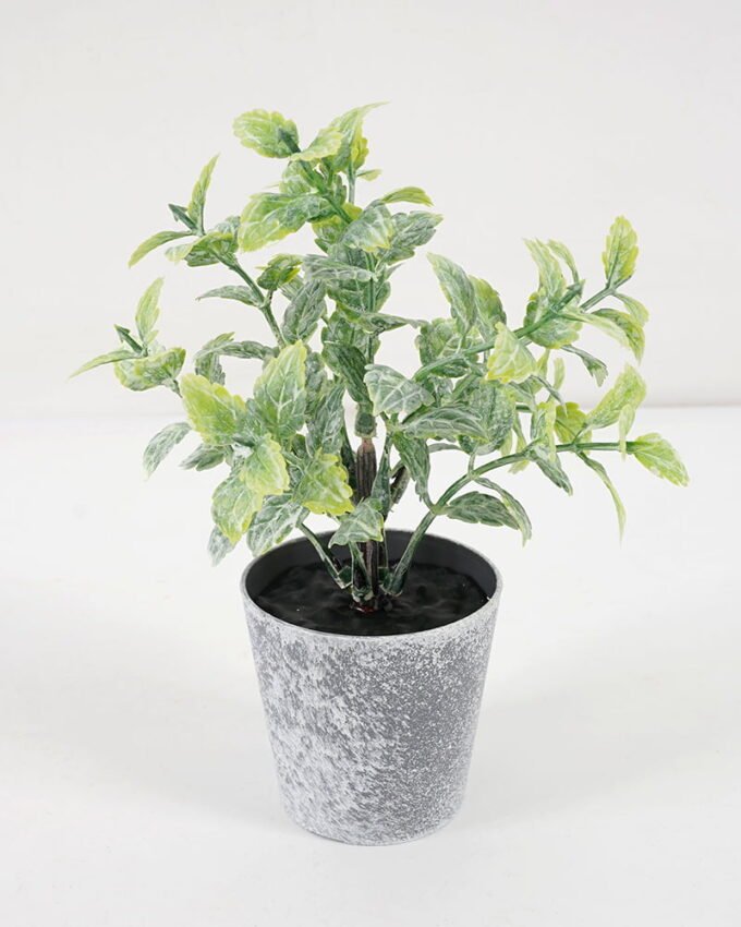 Artificial Plant GRASS IN PE POT GS-05521105_3 Artificial Plant 8*16CM GRASS IN PE POT GS-05521105 Potted Flowers&Plants YeahFlower is one of Chinese leading OEM manufacturers and exporters , supplying the silk flowers, wholesale artificial trees