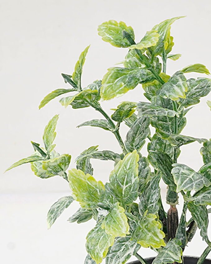 Artificial Plant GRASS IN PE POT GS-05521105_4 Artificial Plant 8*16CM GRASS IN PE POT GS-05521105 Potted Flowers&Plants YeahFlower is one of Chinese leading OEM manufacturers and exporters , supplying the silk flowers, wholesale artificial trees