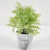 Artificial Plant GRASS IN PE POT GS-05521108_5 Artificial Plant 9*15CM GRASS IN PE POT GS-05521108 Potted Flowers&Plants YeahFlower is one of Chinese leading OEM manufacturers and exporters , supplying the silk flowers, wholesale artificial trees