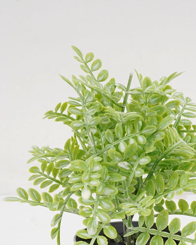 Artificial Plant GRASS IN PE POT GS-05521108_6 Artificial Plant 9*15CM GRASS IN PE POT GS-05521108 Potted Flowers&Plants YeahFlower is one of Chinese leading OEM manufacturers and exporters , supplying the silk flowers, wholesale artificial trees