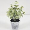 Artificial Plant GRASS IN PE POT GS-05521110_1 Artificial Plant 9*17CM GRASS IN PE POT GS-05521110 Potted Flowers&Plants YeahFlower is one of Chinese leading OEM manufacturers and exporters , supplying the silk flowers, wholesale artificial trees