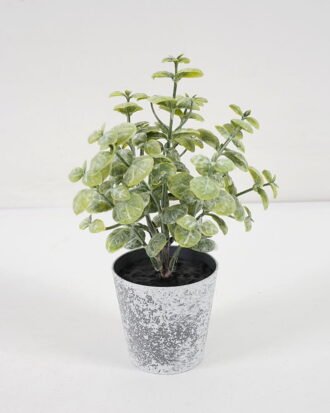 Artificial Plant 9*17CM GRASS IN PE POT GS-05521110 Potted Flowers&Plants YeahFlower is one of Chinese leading OEM manufacturers and exporters , supplying the silk flowers, wholesale artificial trees Artificial Plant 9*17CM GRASS IN PE POT GS-05521110 Potted Flowers&Plants YeahFlower is one of Chinese leading OEM manufacturers and exporters , supplying the silk flowers, wholesale artificial trees