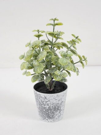 Artificial Plant 9*15CM GRASS IN PE POT GS-05521108 Potted Flowers&Plants 3,000+ sqm showroom with thousands of artificial flowers, plants & trees ready for global sourcing.
