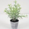 Artificial Plant 9*17CM GRASS IN PE POT GS-05521111 Potted Flowers&Plants YeahFlower is one of Chinese leading OEM manufacturers and exporters , supplying the silk flowers, wholesale artificial trees