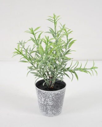 Artificial Plant 9*17CM GRASS IN PE POT GS-05521111 Potted Flowers&Plants YeahFlower is one of Chinese leading OEM manufacturers and exporters , supplying the silk flowers, wholesale artificial trees Artificial Plant 9*17CM GRASS IN PE POT GS-05521111 Potted Flowers&Plants YeahFlower is one of Chinese leading OEM manufacturers and exporters , supplying the silk flowers, wholesale artificial trees
