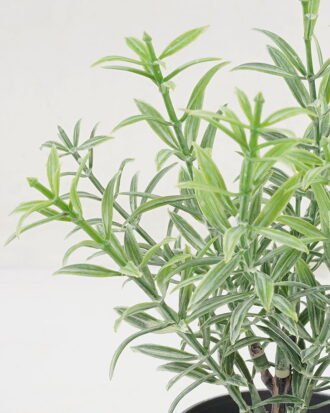 Artificial Plant 9*17CM GRASS IN PE POT GS-05521111 Potted Flowers&Plants YeahFlower is one of Chinese leading OEM manufacturers and exporters , supplying the silk flowers, wholesale artificial trees Artificial Plant 9*17CM GRASS IN PE POT GS-05521111 Potted Flowers&Plants YeahFlower is one of Chinese leading OEM manufacturers and exporters , supplying the silk flowers, wholesale artificial trees