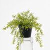 Artificial Plant 27*23cm  Grass in pp pot GS-05521163 Potted Flowers&Plants YeahFlower is one of Chinese leading OEM manufacturers and exporters , supplying the silk flowers, wholesale artificial trees