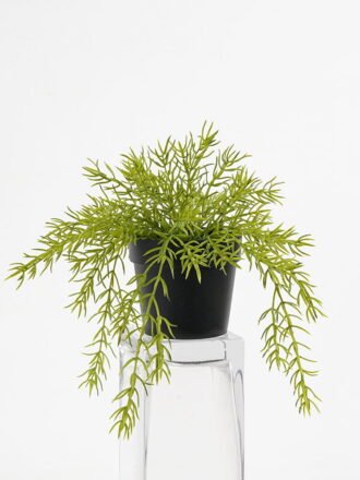 Artificial Plant 25*25cm kamuning in pp pot GS-05521162 Potted Flowers&Plants 3,000+ sqm showroom with thousands of artificial flowers, plants & trees ready for global sourcing.