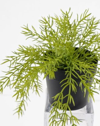 Artificial Plant 27*23cm  Grass in pp pot GS-05521163 Potted Flowers&Plants YeahFlower is one of Chinese leading OEM manufacturers and exporters , supplying the silk flowers, wholesale artificial trees