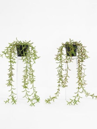Artificial Plant 27*23cm  Grass in pp pot GS-05521163 Potted Flowers&Plants 3,000+ sqm showroom with thousands of artificial flowers, plants & trees ready for global sourcing.