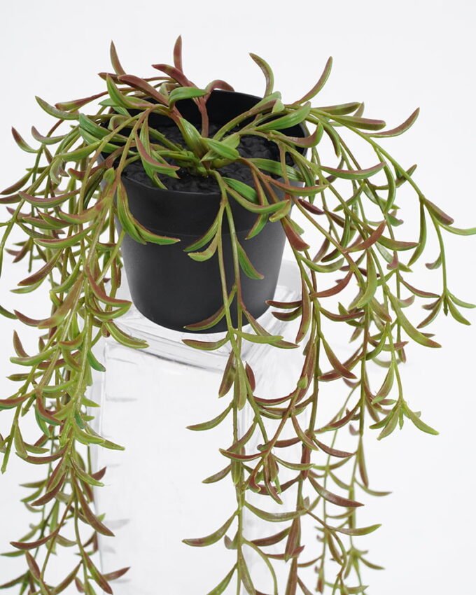 Artificial Plant 32*23*47  Grass in pp pot GS-05521164-G1 Potted Flowers&Plants YeahFlower is one of Chinese leading OEM manufacturers and exporters , supplying the silk flowers, wholesale artificial trees