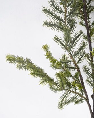 Artificial Plant 37*81cm Masson pine GS-51621011 Leaves&Sprays&Foliages YeahFlower is one of Chinese leading OEM manufacturers and exporters , supplying the silk flowers, wholesale artificial trees